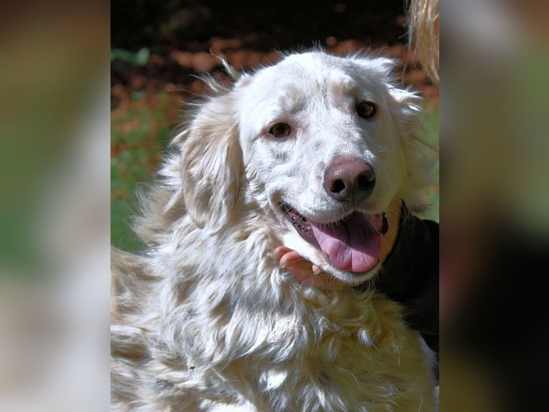 Hadeus - Wovon träumst du?