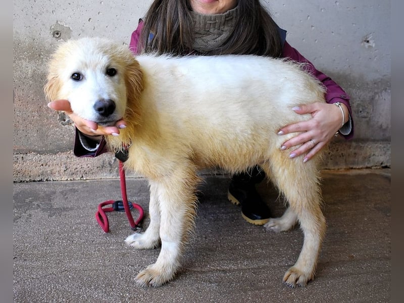 Cairox - SOS - Weiß jemand, was aufpassen eigentlich heißt?