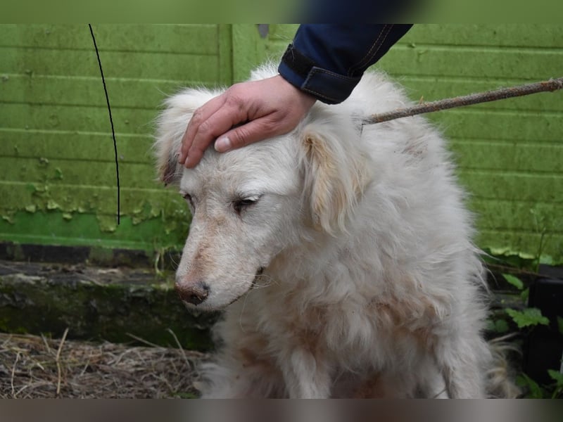 Graciela - NOTFALL - Was hatte sie schon...