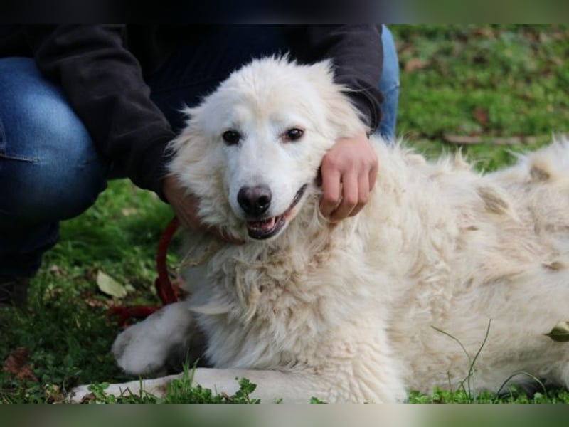 Alida - Unter dem Mantel der Verwahrlosung