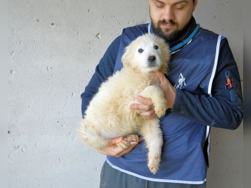 Clyro - SOS - Weiß jemand, was aufpassen eigentlich heißt ?