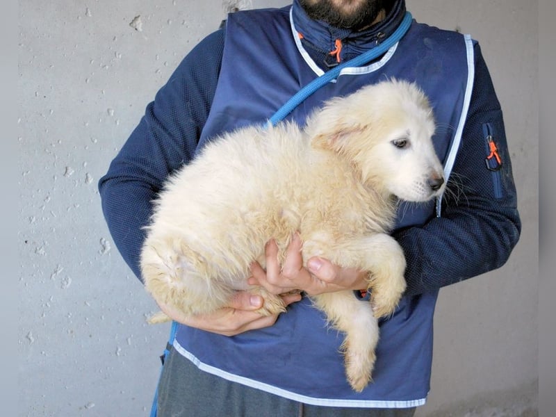 Clyro - SOS - Weiß jemand, was aufpassen eigentlich heißt ?