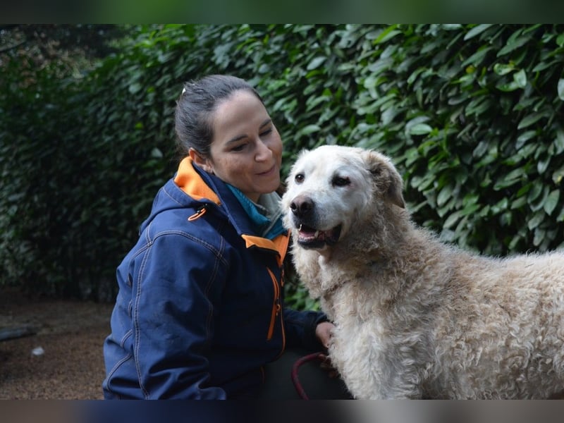 Generosa - Ein Adler bleibt ein Adler...