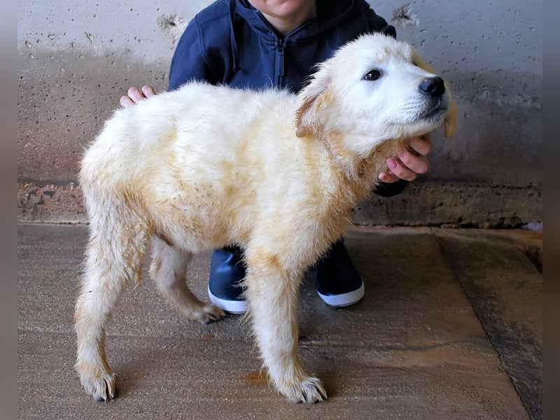 Clyro - SOS - Weiß jemand, was aufpassen eigentlich heißt ?