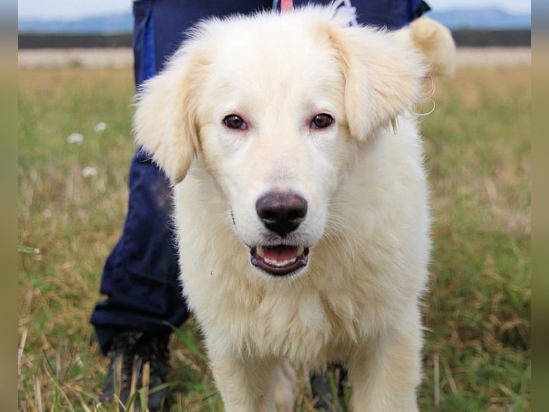 Garth - Kannst du machen, dass es nicht so lange dauert?