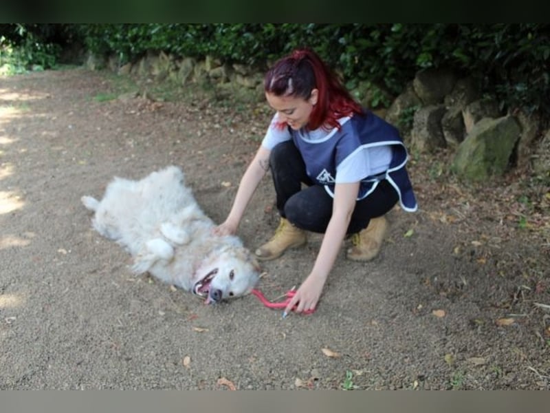 Papak - Nutze den Tag!