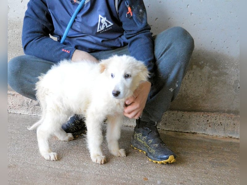 Calira - SOS - Weiß jemand, was aufpassen eigentlich heißt?