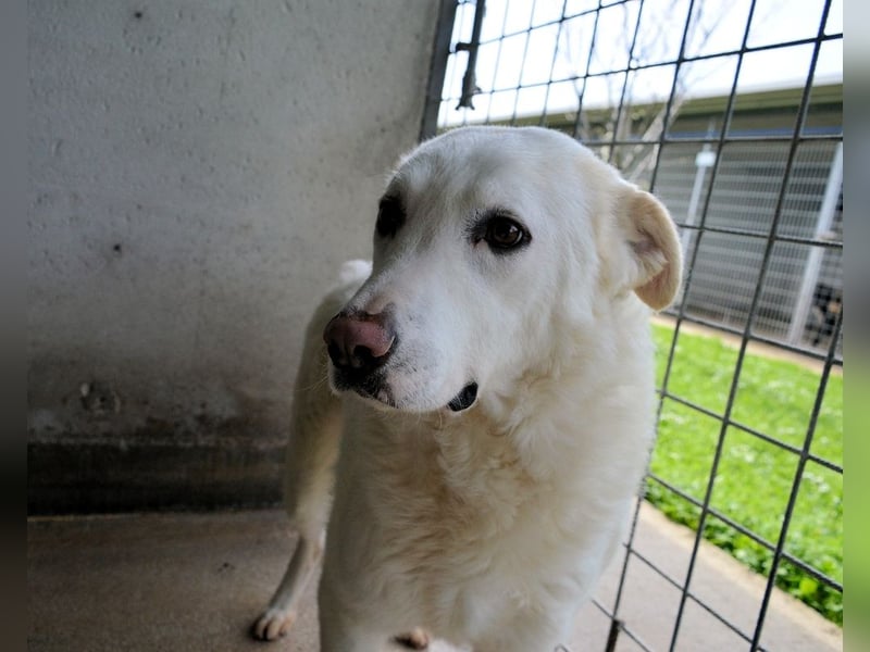 Vitale - "Komm, trau dich! Du kannst das!"