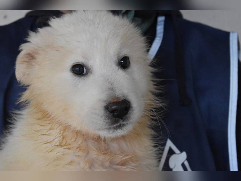 Cairox - SOS - Weiß jemand, was aufpassen eigentlich heißt?