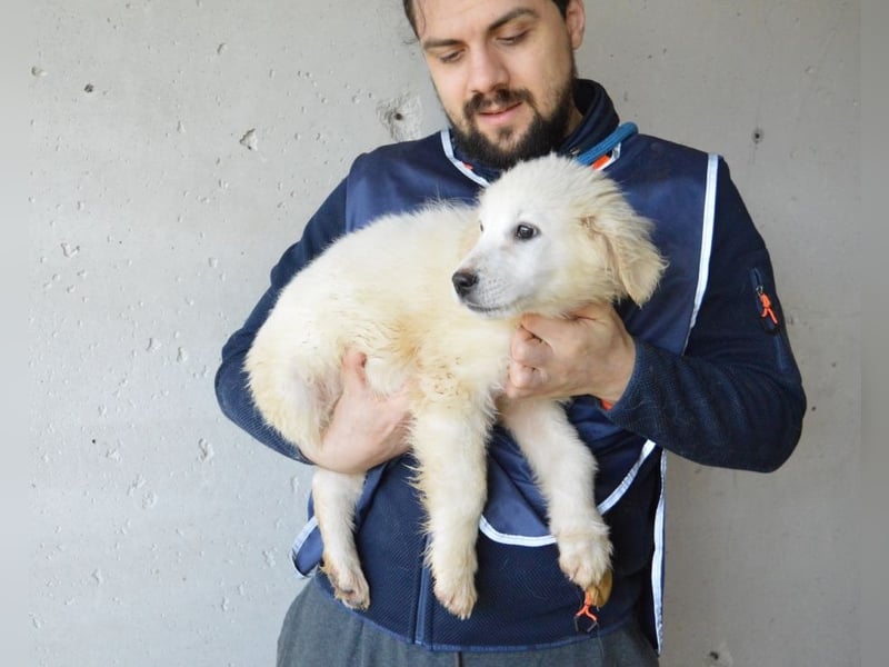 Cilwen - SOS - Weiß jemand, was aufpassen eigentlich heißt ?