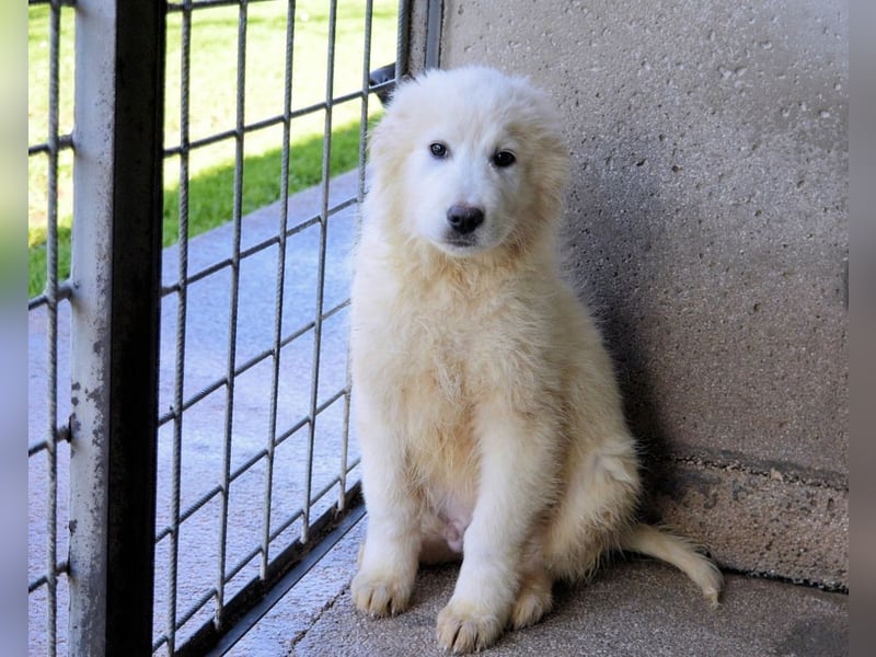 Cairox - SOS - Weiß jemand, was aufpassen eigentlich heißt?