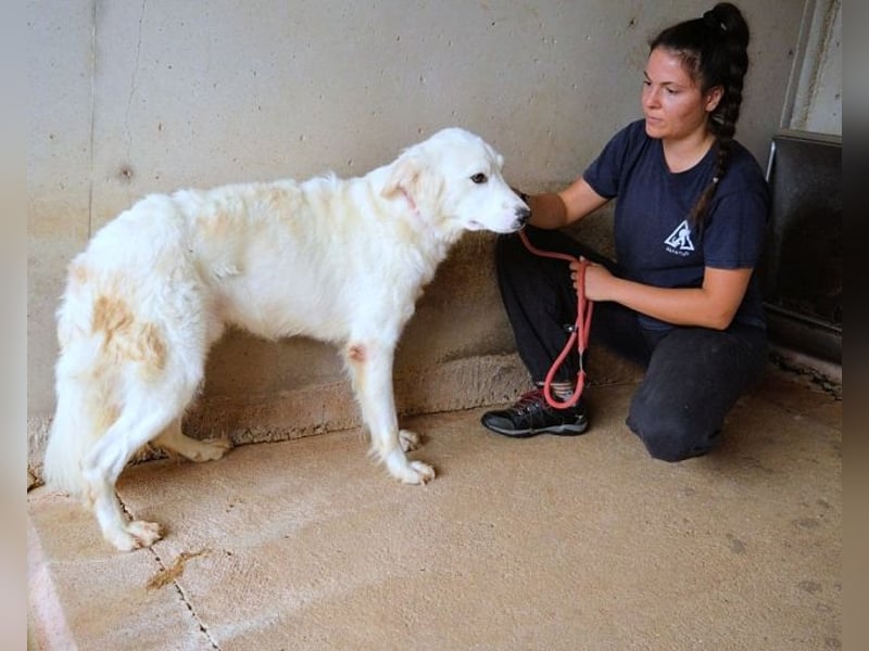 Habriel - weiß, es wird einmal ein Wunder gescheh'n