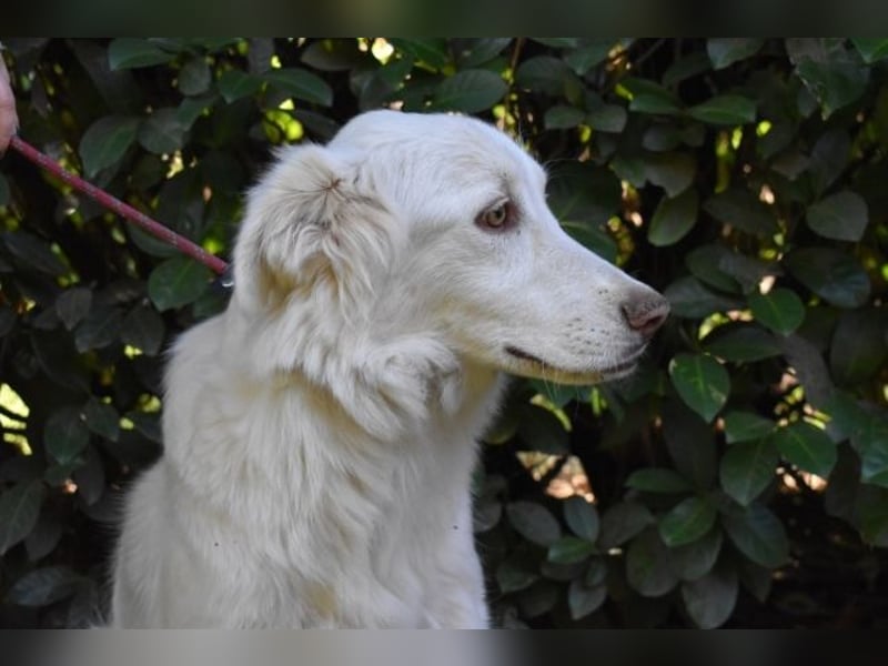 Thulin - Eigentlich ist ja alles da...