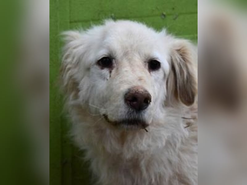 Graciela - NOTFALL - Was hatte sie schon...