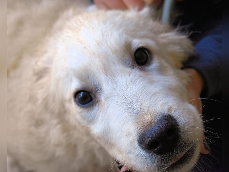 Cilwen - SOS - Weiß jemand, was aufpassen eigentlich heißt ?