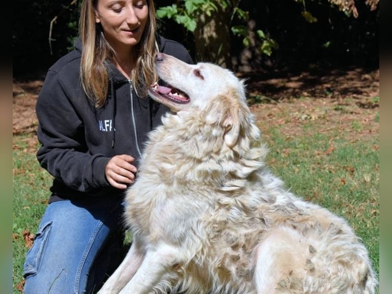 Hadeus - Wovon träumst du?