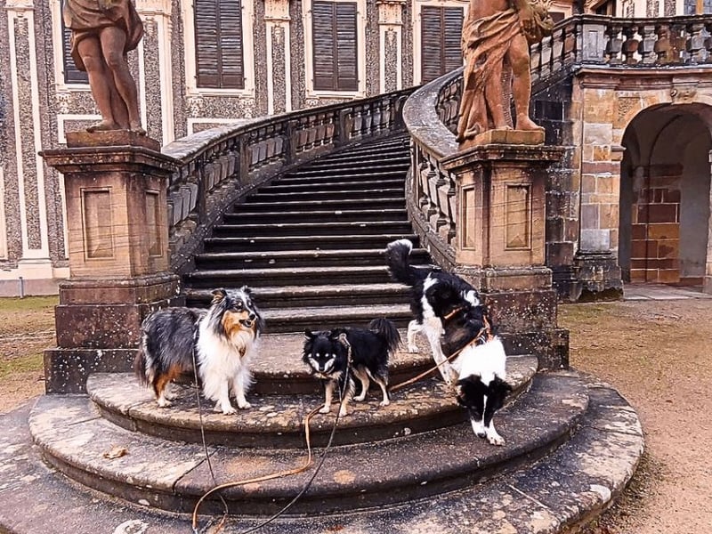 Uriel -  Zeigst du mir den Weg?