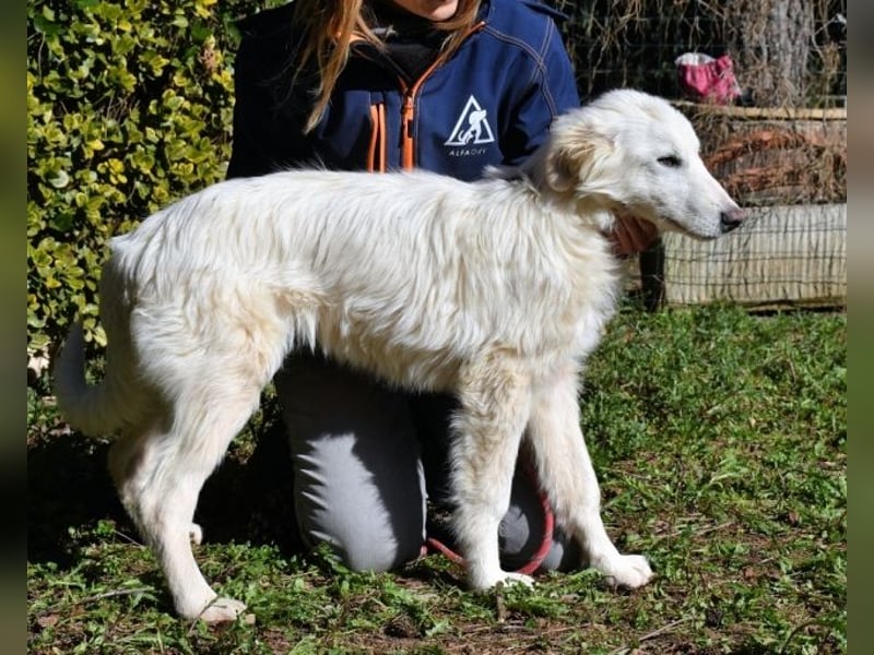 Heathon - sucht die Liebe seines Lebens