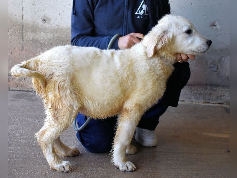 Cilwen - SOS - Weiß jemand, was aufpassen eigentlich heißt ?