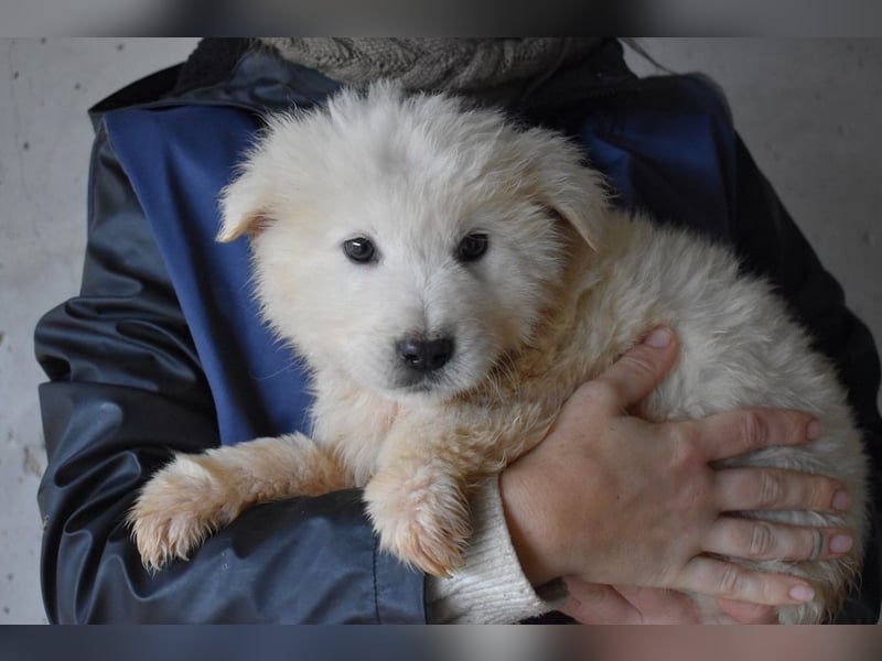 Clyro - SOS - Weiß jemand, was aufpassen eigentlich heißt ?