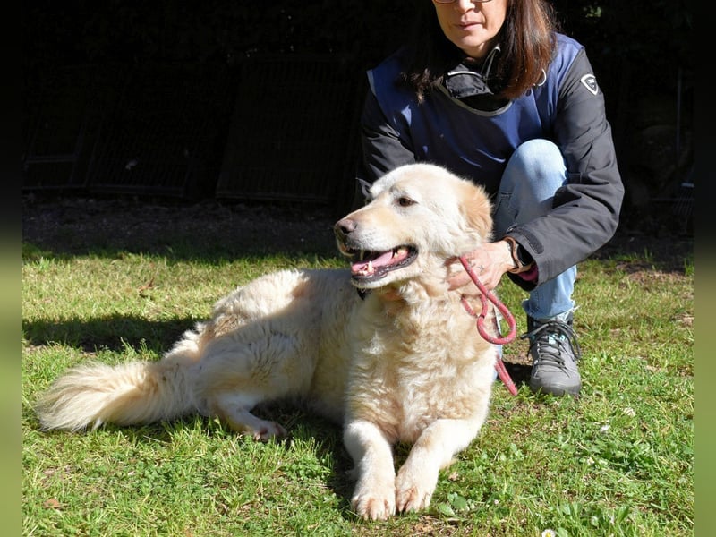 Fyona - Hell wie das Licht