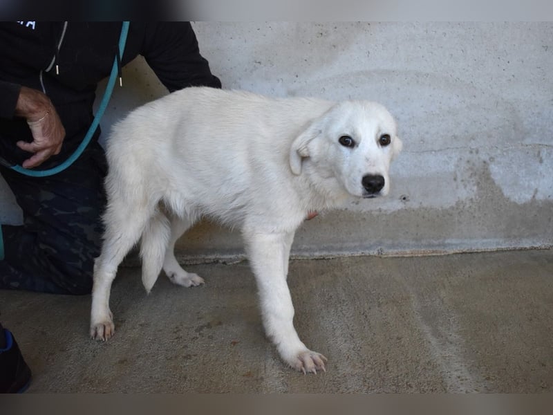 Ryther - Für diese traurige Geschicht...