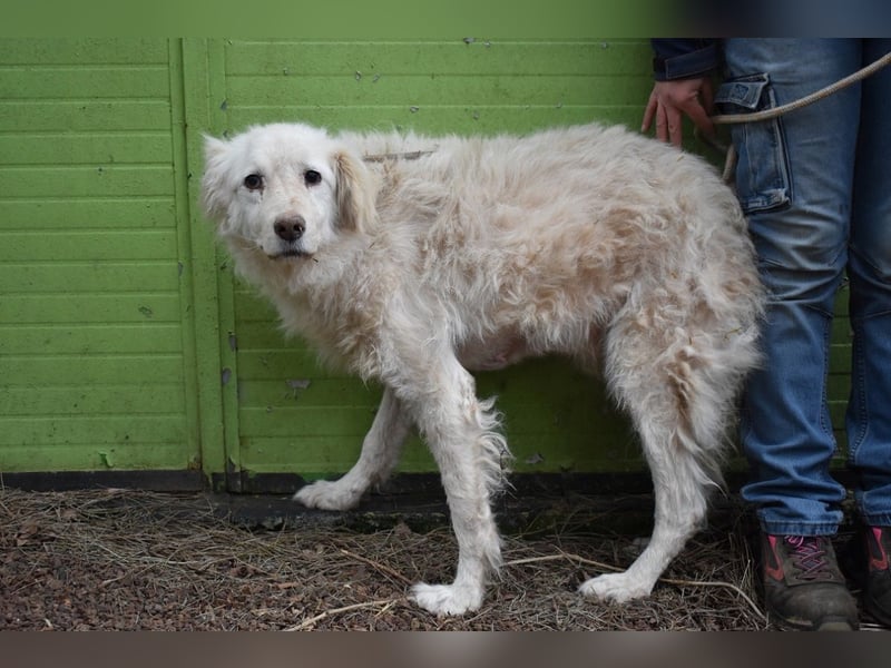 Graciela - NOTFALL - Was hatte sie schon...