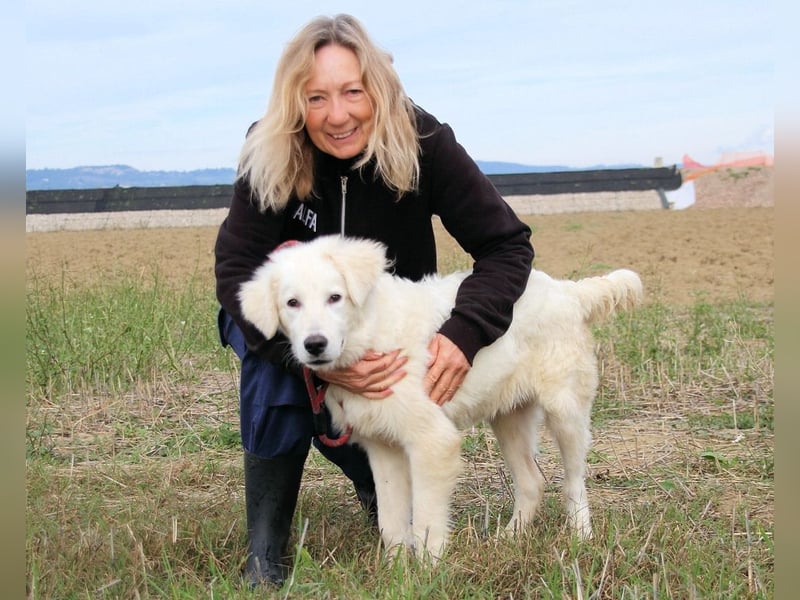 Garth - Kannst du machen, dass es nicht so lange dauert?