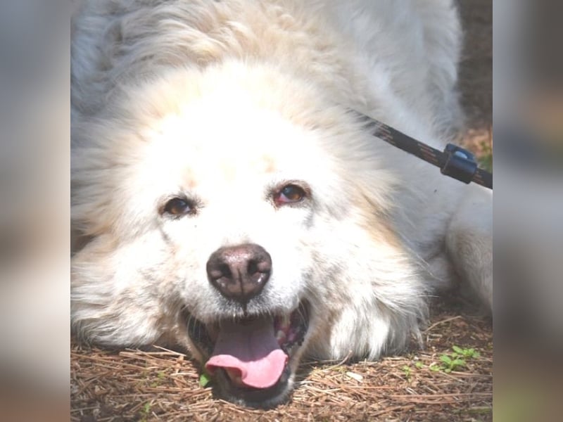 Alida - Unter dem Mantel der Verwahrlosung