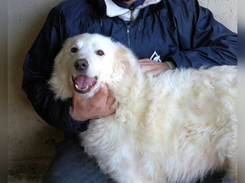 Wania - Zur falschen Zeit am falschen Ort...