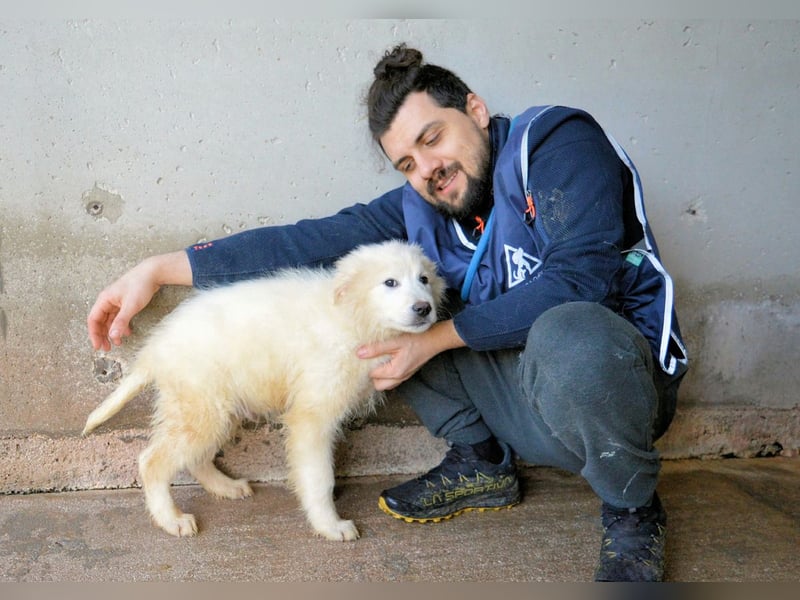 Cairox - SOS - Weiß jemand, was aufpassen eigentlich heißt?