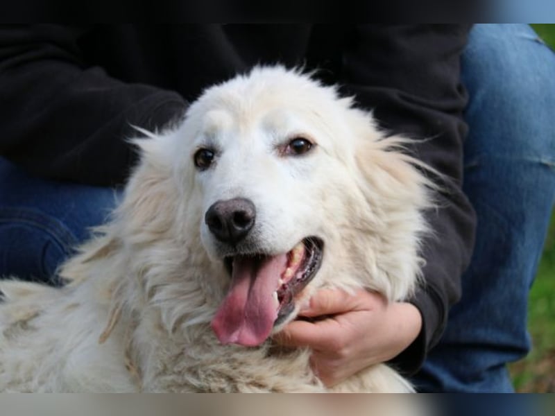 Alida - Unter dem Mantel der Verwahrlosung