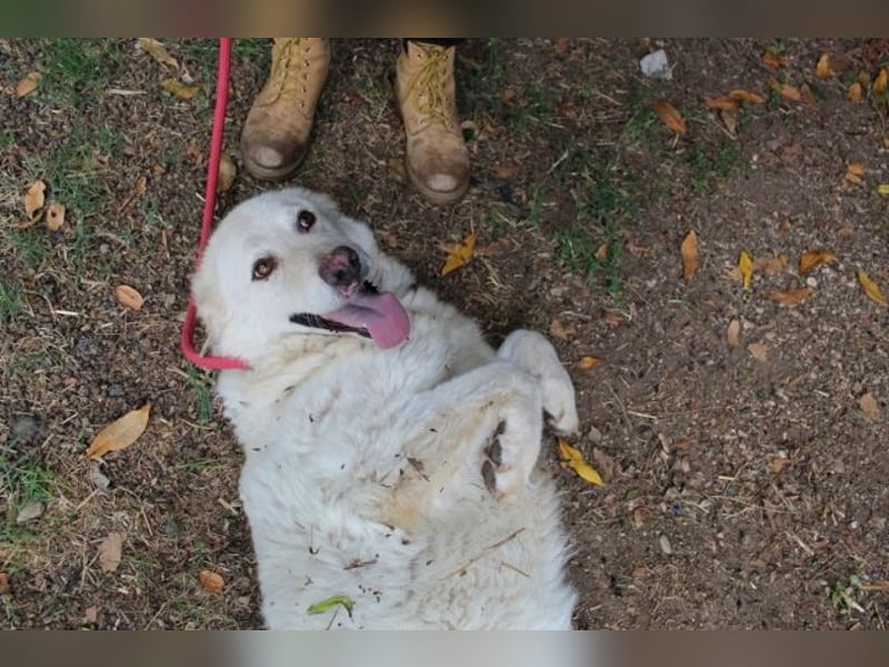 Fyona - Hell wie das Licht