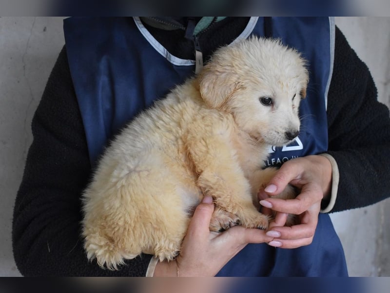 Cilwen - SOS - Weiß jemand, was aufpassen eigentlich heißt ?