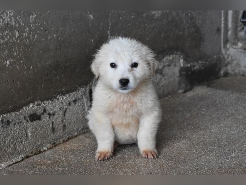 Cilwen - Weiß jemand, was aufpassen eigentlich heißt ?