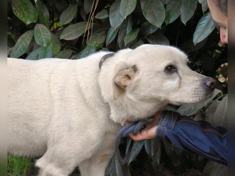 Talete - NOTFALL - Wenn man ehrlich ist