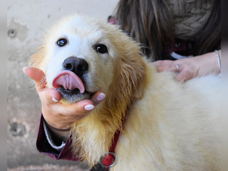 Cairox - SOS - Weiß jemand, was aufpassen eigentlich heißt?