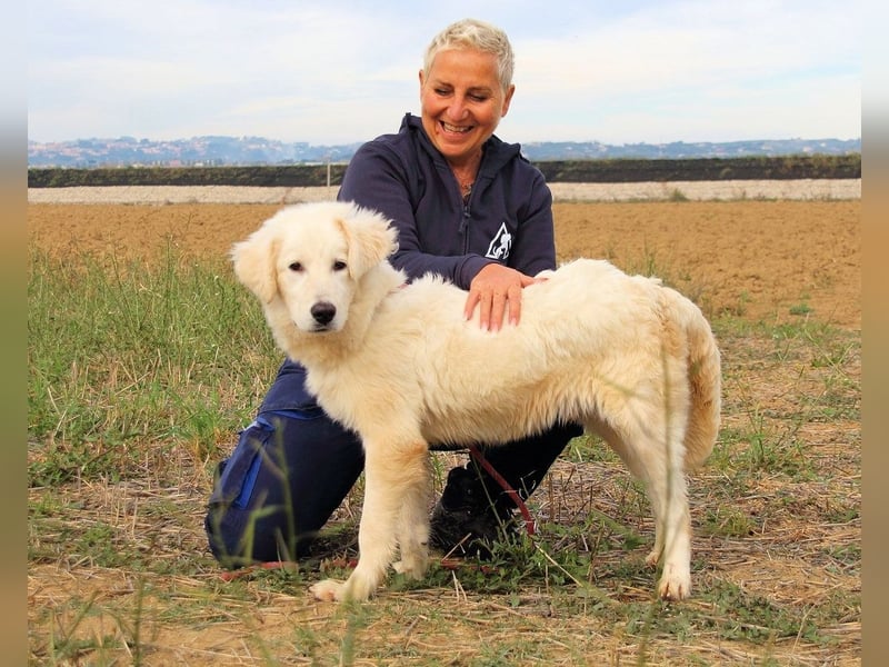 Garth - Kannst du machen, dass es nicht so lange dauert?