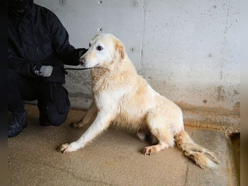 Frieder - Gibt es ein Leben jenseits von Schmerz und Einsamkeit?