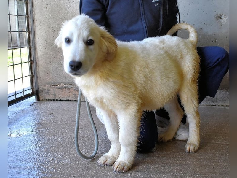 Cilwen - SOS - Weiß jemand, was aufpassen eigentlich heißt ?