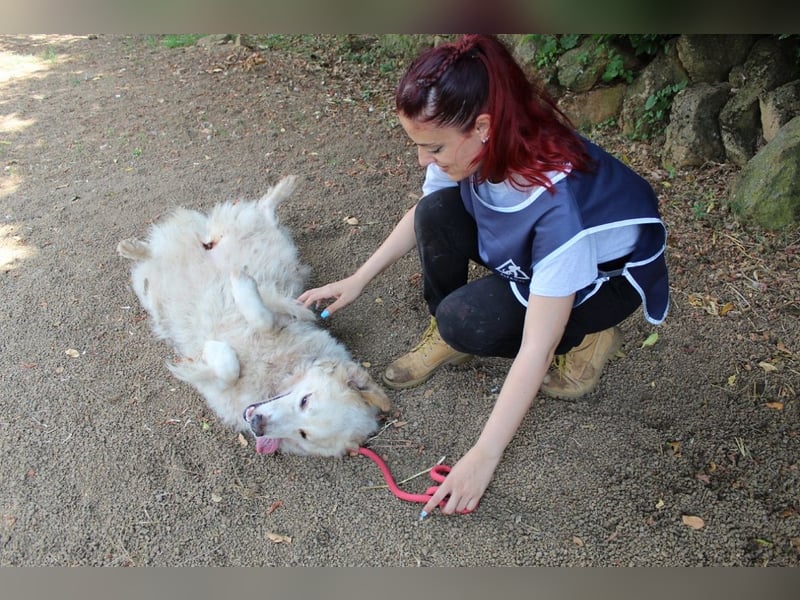 Papak - Nutze den Tag!