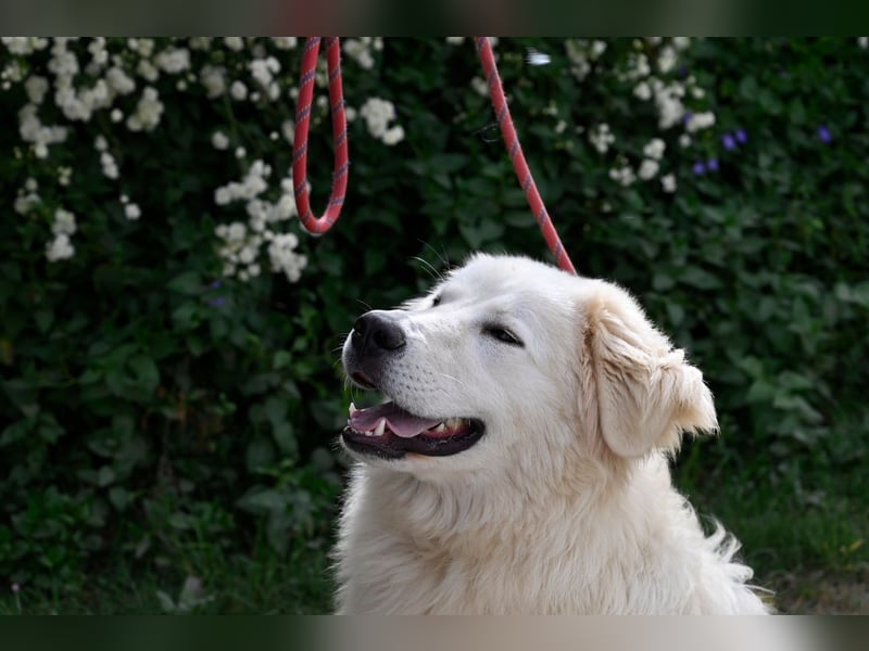 Garth - Kannst du machen, dass es nicht so lange dauert?