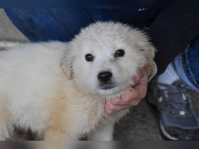 Cilwen - Weiß jemand, was aufpassen eigentlich heißt ?