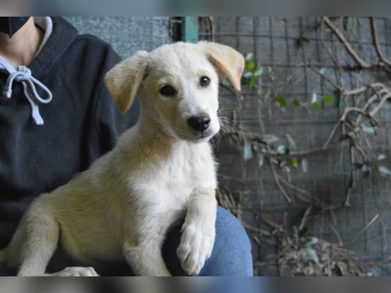 Admeto - Nur ein Wunsch: endlich nach Hause!