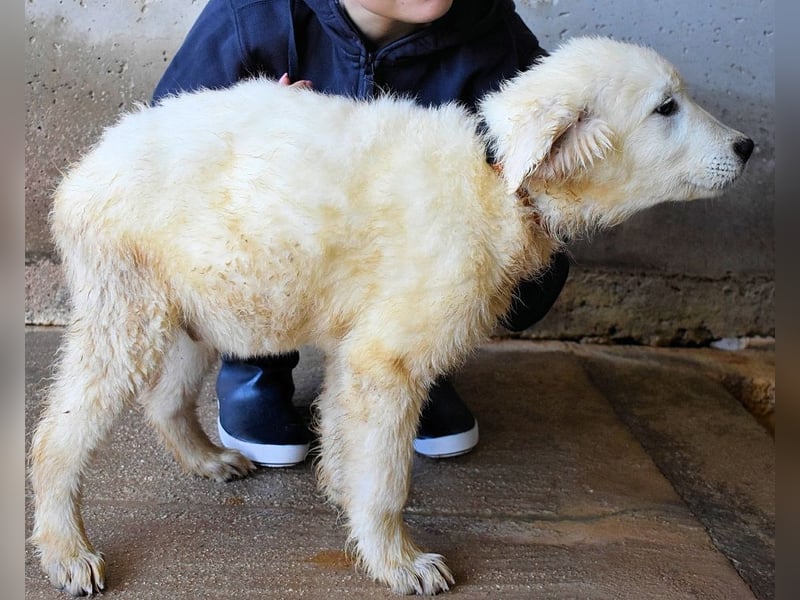 Clyro - SOS - Weiß jemand, was aufpassen eigentlich heißt ?