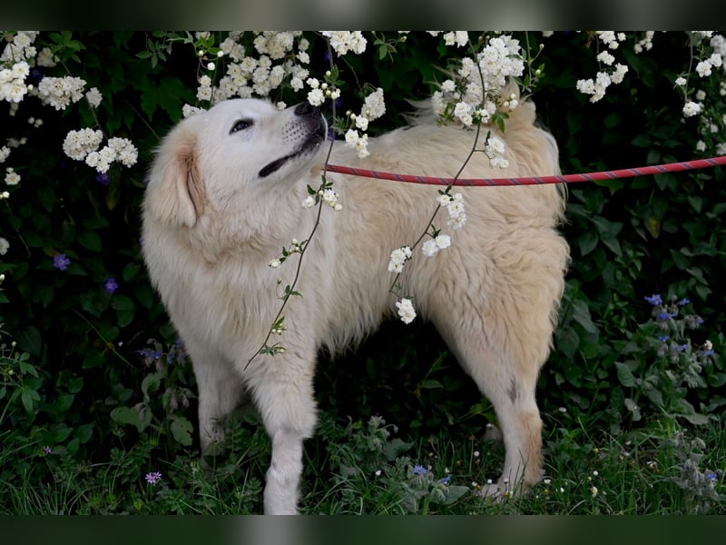 Garth - Kannst du machen, dass es nicht so lange dauert?