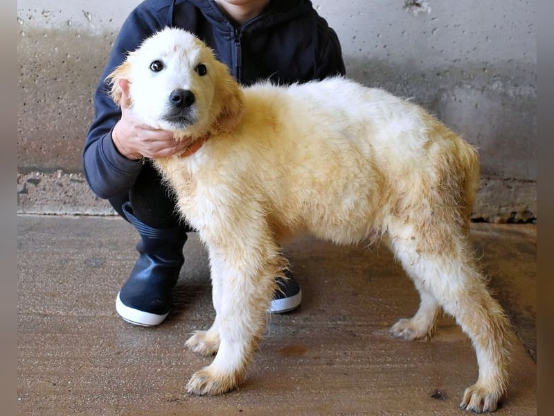 Clyro - SOS - Weiß jemand, was aufpassen eigentlich heißt ?