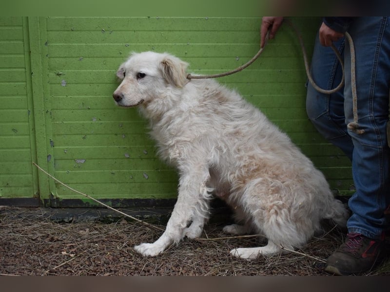 Graciela - NOTFALL - Was hatte sie schon...