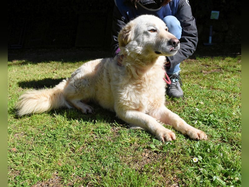 Fyona - Hell wie das Licht