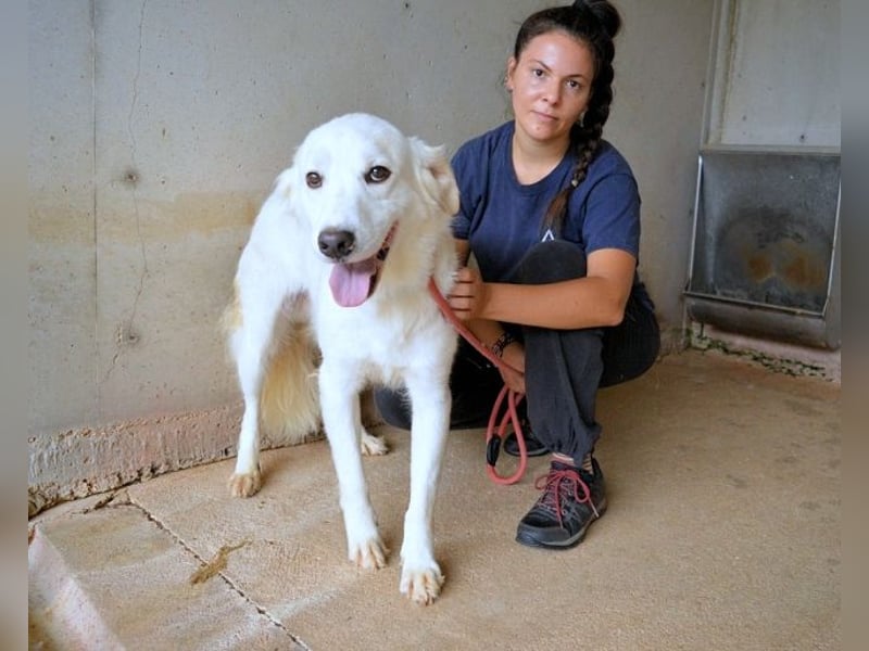 Habriel - weiß, es wird einmal ein Wunder gescheh'n